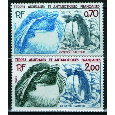 Fauna Antártica