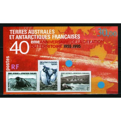 40 Años de la Creación del Territorio