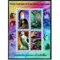 Fauna Antártica y sus Crías