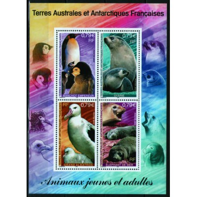 Fauna Antártica y sus Crías