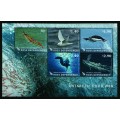 Antarctic Food Web