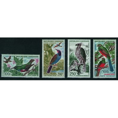 Aves