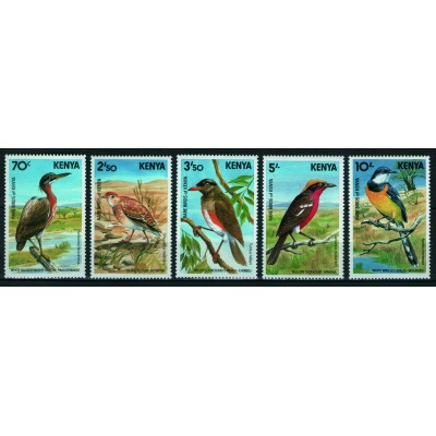 Aves