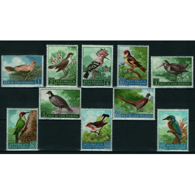 Aves Pájaros