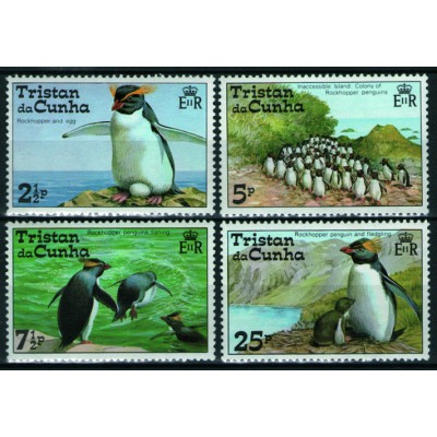 Pinguinos