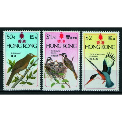Aves Pájaros