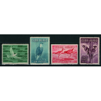 Aves Pájaros