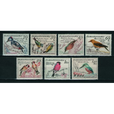 Aves Pájaros