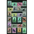 Aves Pájaros