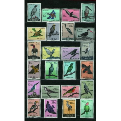 Aves Pájaros