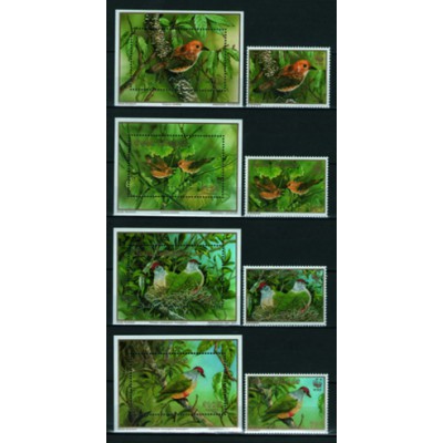 Fauna Pájaros