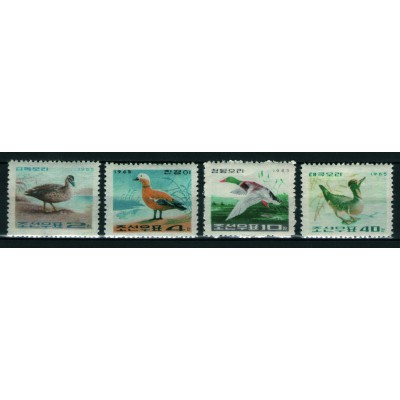 Fauna Patos