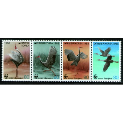 Aves