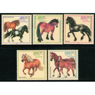 Caballos