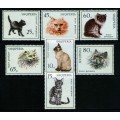 Gatos