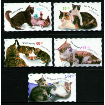 Gatos