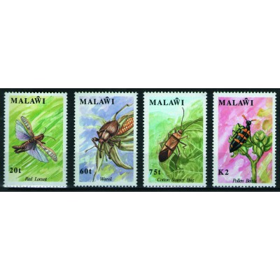 Insectos
