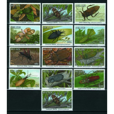 Insectos