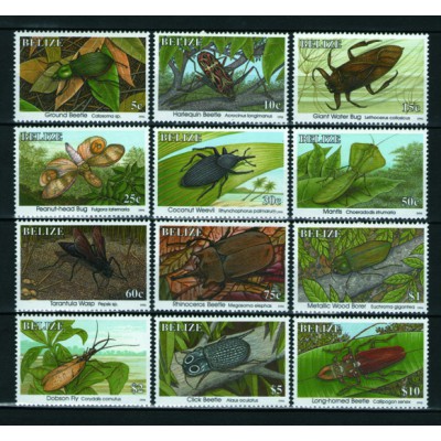 Insectos