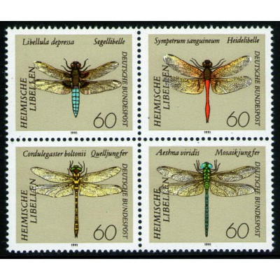 Insectos