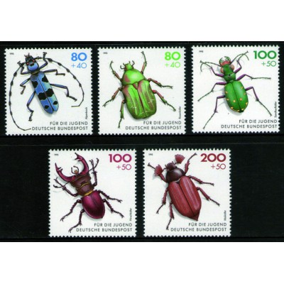 Insectos