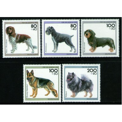 Perros