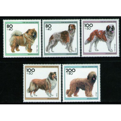 Perros