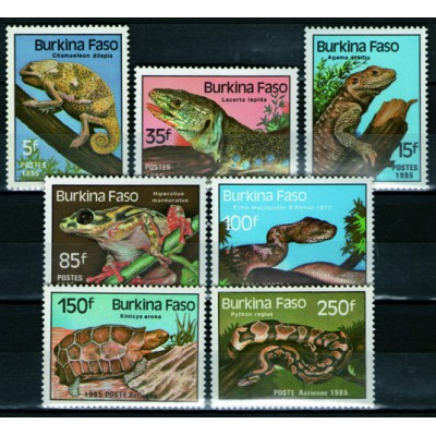 Reptiles