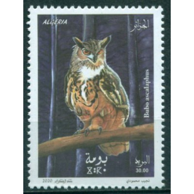 Pájaros