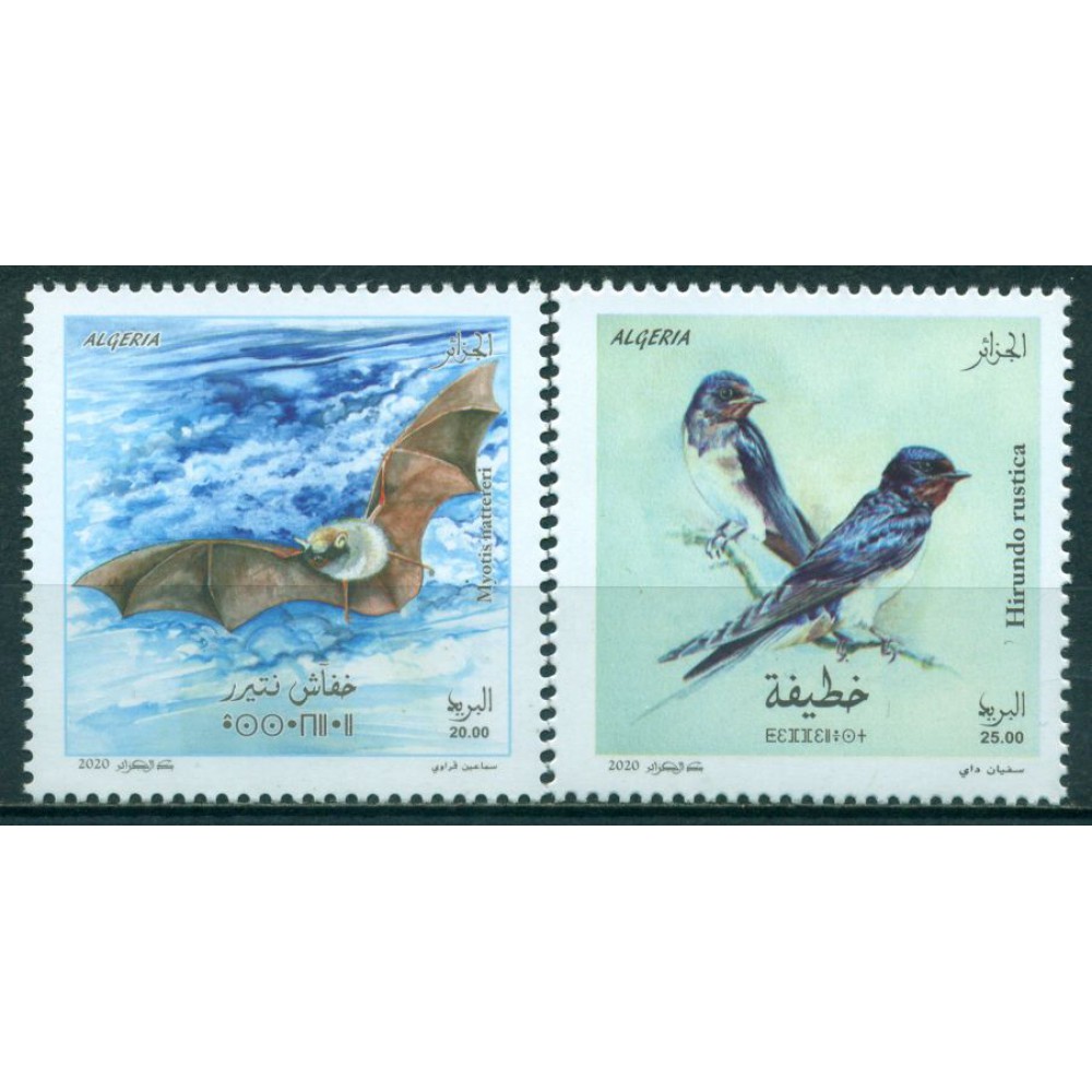 Pájaros