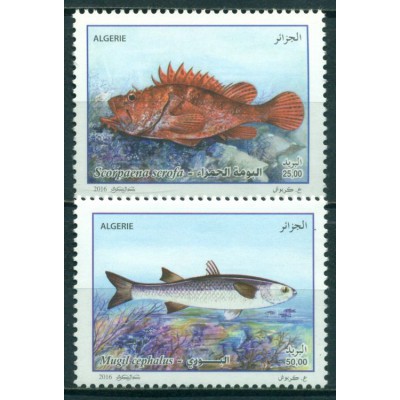 Fauna Marina