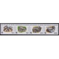 Protección de la naturaleza Reptiles