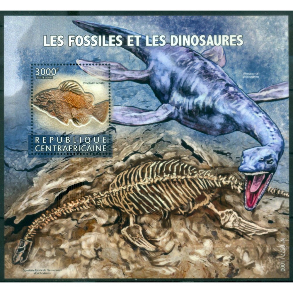 Los Fósiles y los Dinosaurios