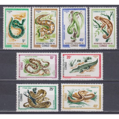 Fauna Reptiles