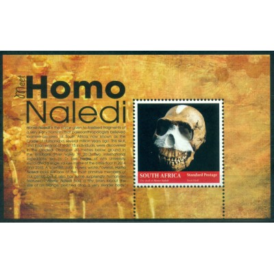 El Homo Naledi