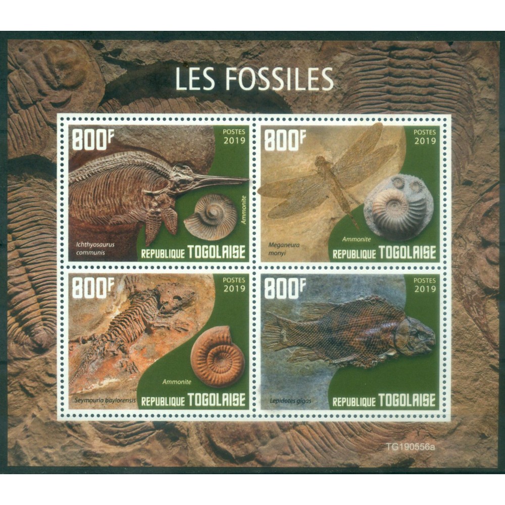 Los Fósiles
