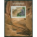 Los Fósiles