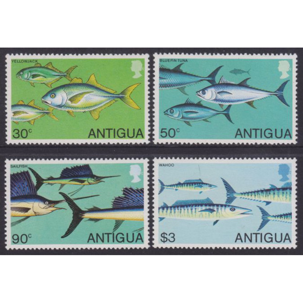 La pesca deportiva
