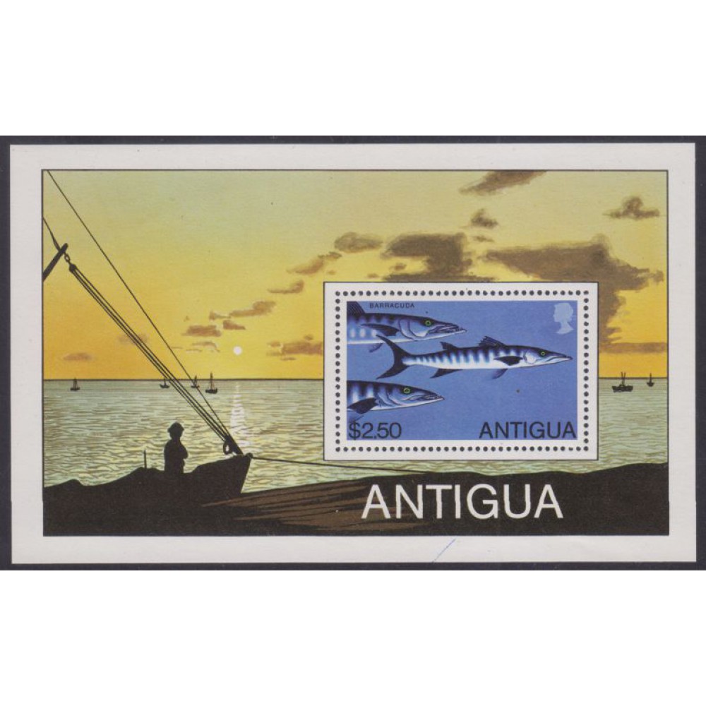 La pesca deportiva