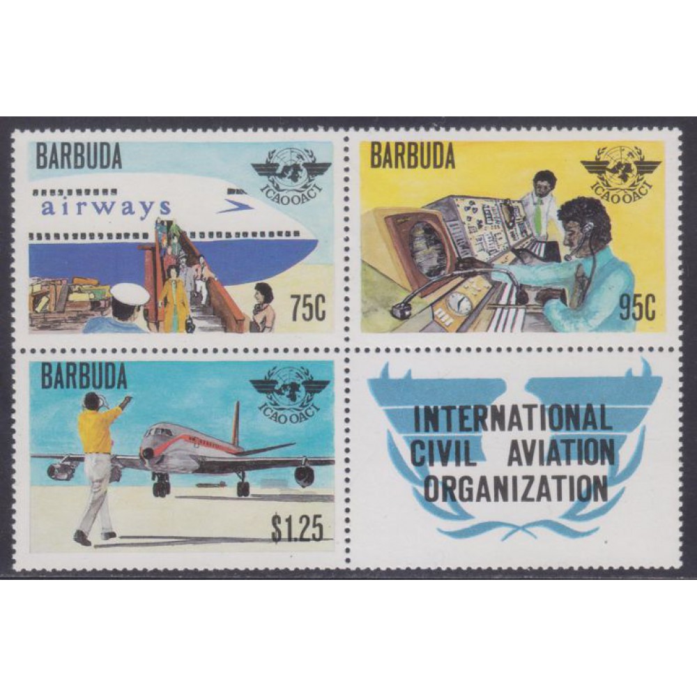25 Años Organización Internacional de Aviación