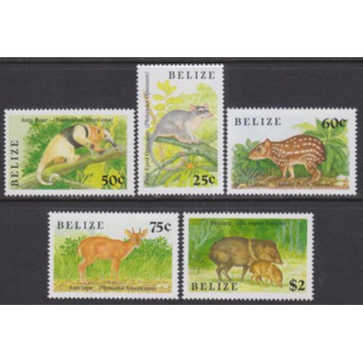 Fauna Salvaje