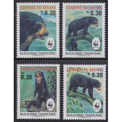 Oso de Anteojos