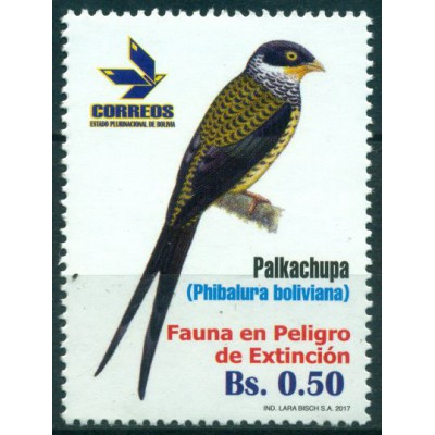 Pájaros Protegidos Cotinga Tijereta y Paujil Unicornio