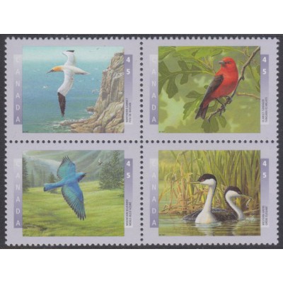 Fauna Aves 