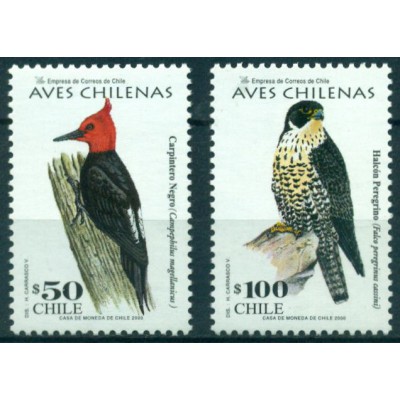 Pájaros