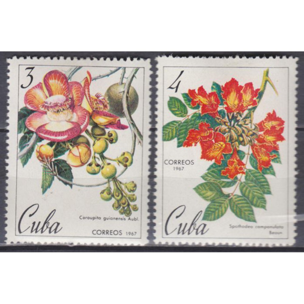 150 Años del Jardín Botánico de la Havana