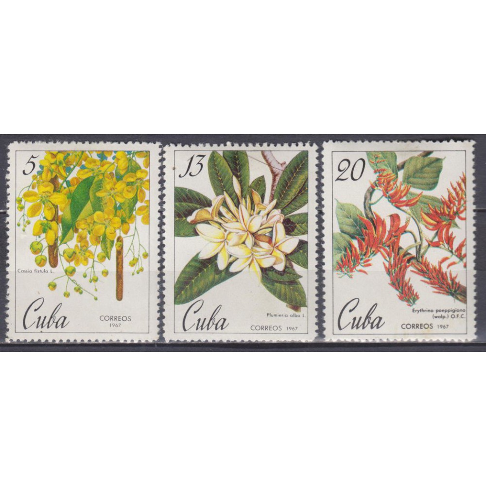 150 Años del Jardín Botánico de la Havana