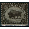 Bisonte