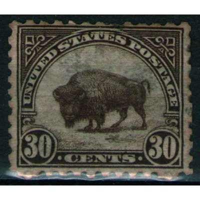 Bisonte