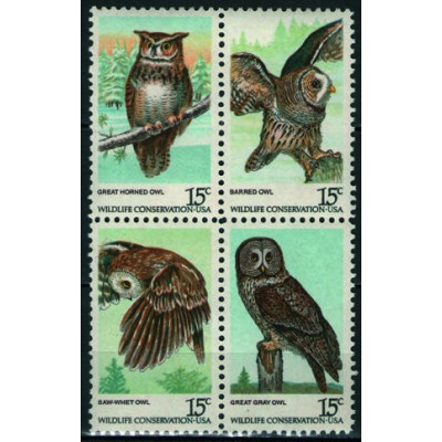 Conservación de la Naturaleza. Aves de noche